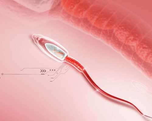 <b>广州传承助孕中心好[供卵三代成功率],试管婴儿胚胎着床成功率如何提高？</b>
