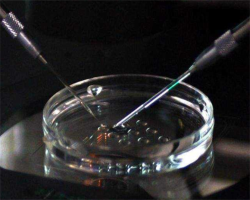 山西高龄不孕不育患者如何治疗,五年时间，梦美帮助众多国内计划生育者完成