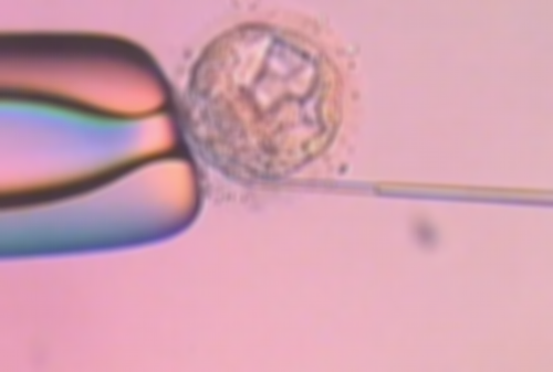 会议期间，一位即将获得双胎大儿子的宝妈得知梦美HRC此次云南公益之行，特意