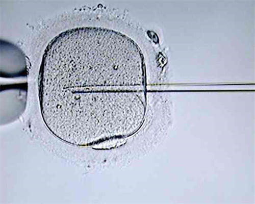 秦皇岛天子助孕地址,会议期间，一位即将获得双胎大儿子的宝妈得知梦美HRC此