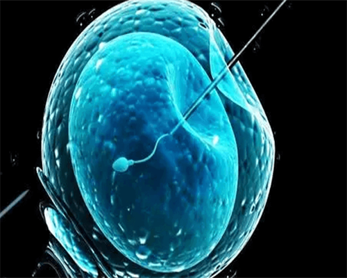 促排11天，完美收官。 试管代孕生殖中心