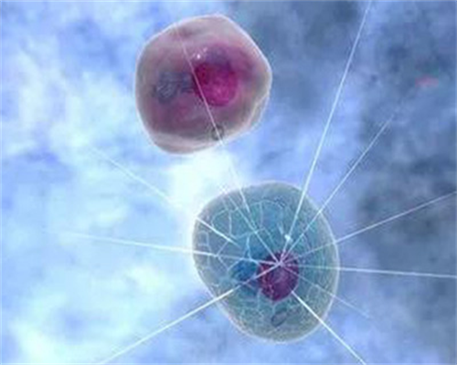 美图秀秀怎么做手抄报模板？