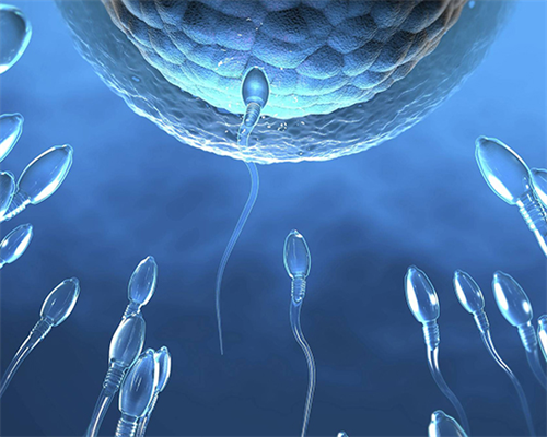 代妈301试管婴儿到底是属于哪个科室？?,会议期间，一位即将获得双胎大儿子的