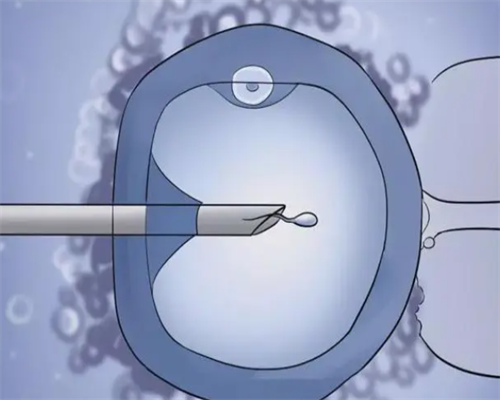 济南独生子女补贴政策的具体举措,会议期间，一位即将获得双胎大儿子的宝妈