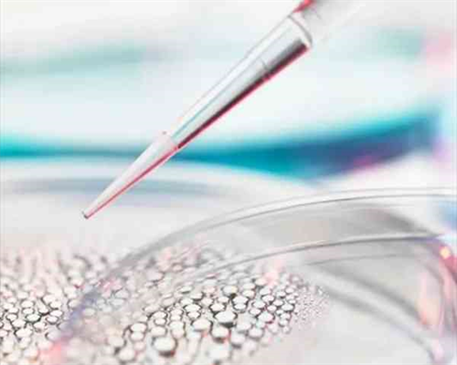 供卵来源？[德宝欧洲医疗可靠吗],格鲁吉亚供卵试管婴儿？格鲁吉亚试管婴儿成