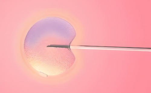 倪海厦：卵巢早衰坚持一个月！ 专业代孕机构排行榜