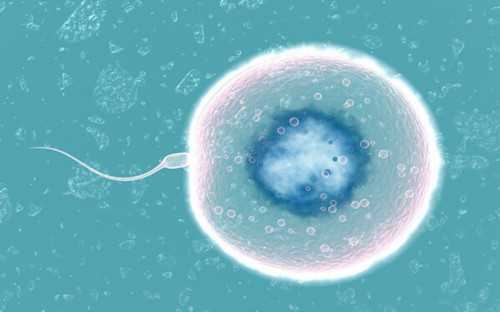 国内 供卵[广州传承生殖医学违法],石家庄公立三甲供卵试管医院名单出炉，正