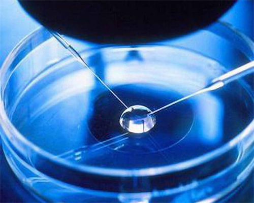 吕进峰助孕[aa69助孕中心指定优贝贝助孕],佛山哪家医院可以做供卵试管婴儿，