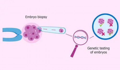 广州传承生殖医院是正规医院吗[哪里有代孕机购],石家庄地下供卵机构包成功包