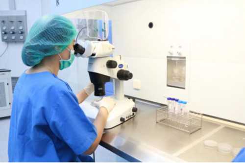 3天清肠排毒果蔬汁