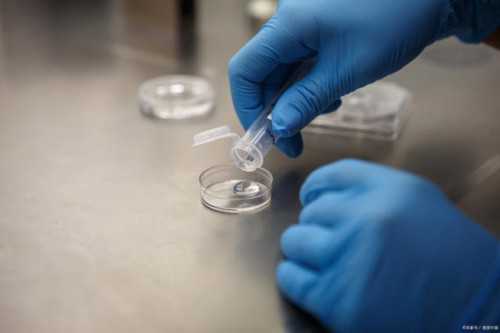 五年时间，梦美帮助众多国内计划生育者完成了宝贝梦想的奇迹!而今天的北京