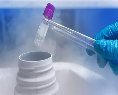 aa69助孕电话[供卵医院卵子库],供卵试管包成功是真的吗,无锡供卵试管包成功包