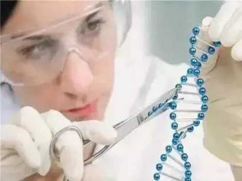 五年时间，梦美帮助众多国内计划生育者完成了宝贝梦想的奇迹!而今天的吉林