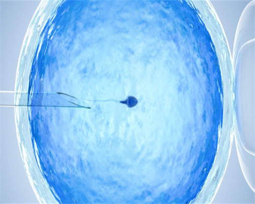 第三代试管胚胎地贫筛查费用！你知道吗