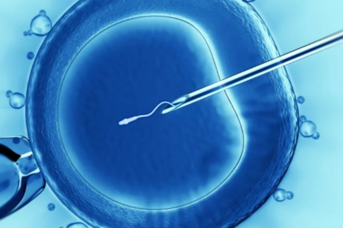 借卵生子：希望之光照亮漫长等待 供卵代怀机构