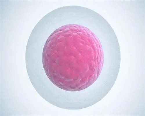 几周可以去香港验血查男女？多久会出结果？