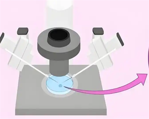 广州传承助孕中心真假[排队供卵的费用],宜宾二医院(保山安利医院试管婴儿多