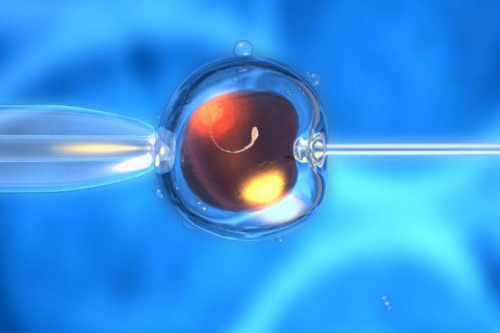 柬埔寨试管婴儿技术如何实现优生优育？成功率有多少