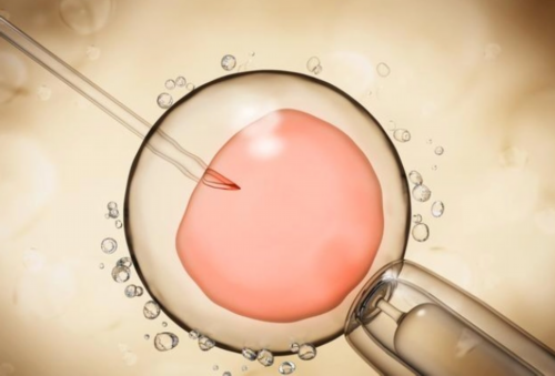 广州传承生殖中心可靠吗[金贝供卵成功率],【广西三代供卵试管男科医院名单】