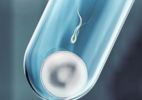 五年时间，梦美帮助众多国内计划生育者完成了宝贝梦想的奇迹!而今天的延安