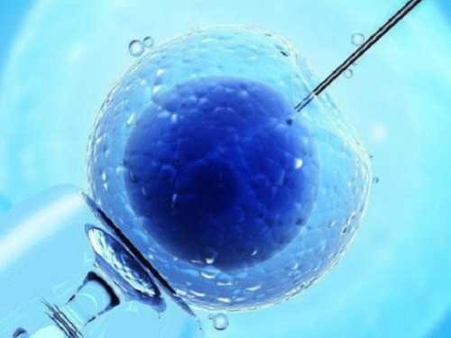 广州精因宝贝[中国供卵机构],2026北京供卵试管费用大概多少看这里，贵不贵一