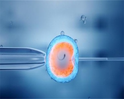 广州传承生殖医院是正规医院吗[哪里有代孕机购],石家庄供卵试管费用：石家庄