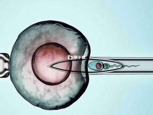 私人找代妈[精因宝贝助孕价格],【广西三代供卵试管男科医院名单】附供卵试管