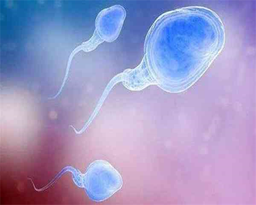 供卵资源群[广州传承生殖医院地址],揭阳三代试管哪个医院好_揭阳三代试管哪