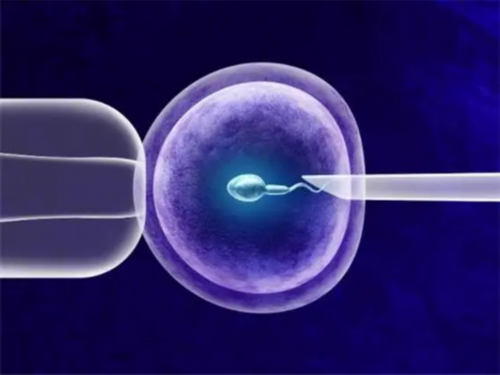 武汉福康助孕公司招聘信息[美中宜和供卵],盘点2026年葫芦岛哪里的三代试管婴