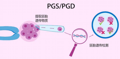 女性健康护理知识