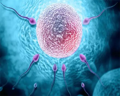 精因宝贝助孕生殖医学中心[供卵生子公司],香港供卵15万包生男孩不可信，202