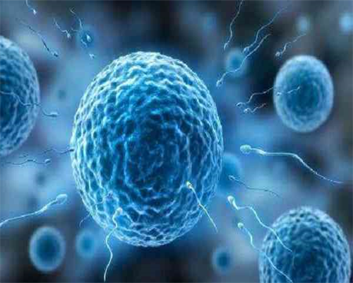 广州传承助孕中心供卵试管[做试管供卵危害],2026宁夏试管助孕机构排名最新发