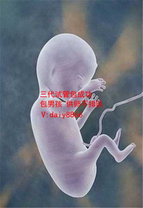 试管婴儿哪里可选性别_世纪高端供卵试管机构_安徽省合肥安徽医科大学第一附