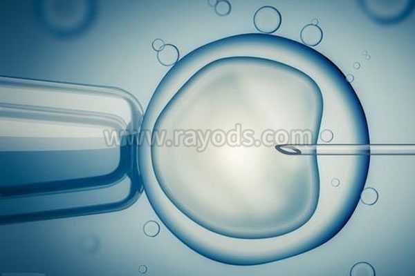 奉节暖巢早衰可以借卵怀孕吗_转氨酶偏高能做试管吗？需要怎么做才行？