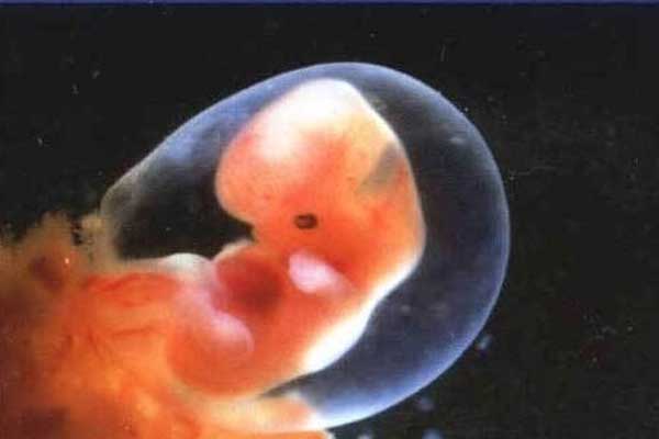 静海多大年龄的女人能借卵生孩子_静海借卵生子dna_试管移植最早多少天后孕试