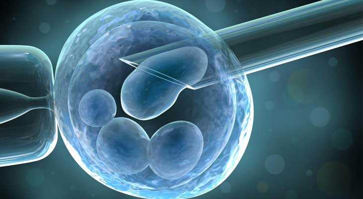 武威哪个国家借卵生子_试管婴儿胚胎分级是什么意思？