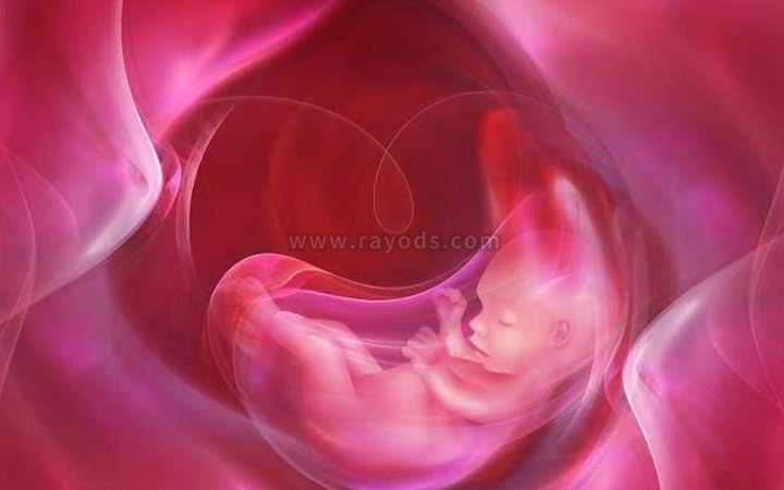 广州借卵产子_从促排取卵到移植验孕!美国试管婴儿流程共有7步