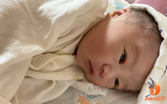 铁岭代生在线咨询_铁岭20万代生_有在武汉同济医院生殖医学中心做过试管婴儿