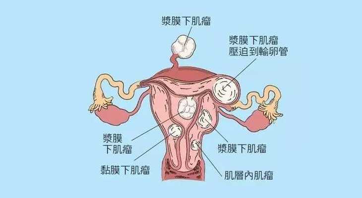 卢湾试管借卵多少钱一次_锦州妇婴医院试管婴儿技术好吗？这样做手术费用更