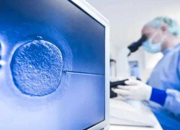 茂名市人民医院试管一般移植什么胚胎？
