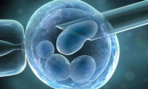 胚胎5ab是什么质量级别？