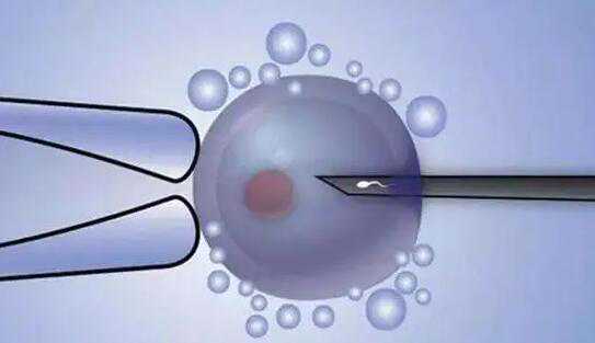 胚胎发育：你的胚胎是几级？看完这些你就懂