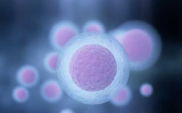 ZVTq0_湖南长沙正规助孕机构有哪些？地下生殖中心供卵可靠吗？