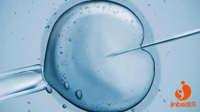 西海岸助孕[供卵代生机构]+三代试管婴儿技术原理分别怎样？专家为你详细解读