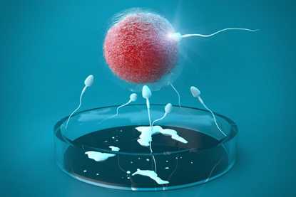双桥哪里可以帮人代孕_赴美做试管婴儿：子宫内膜在什么范围内才适合移植?