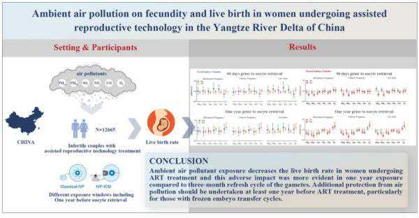 青岛哪里可以做代孕交易_美国试管婴儿：HCG、孕酮和流产的“三角关系”